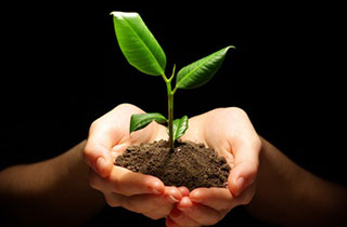 永旺植樹活動(dòng)